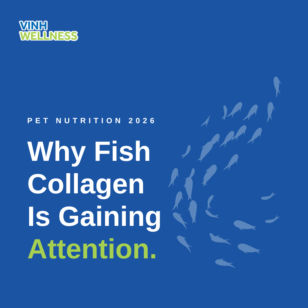 Why Fish Collagen Is The Better-for-Pets Option?